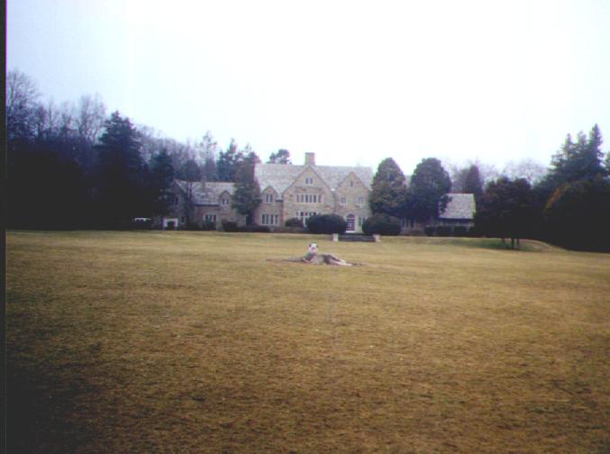 Snoopy is in awe at the Cranberry house