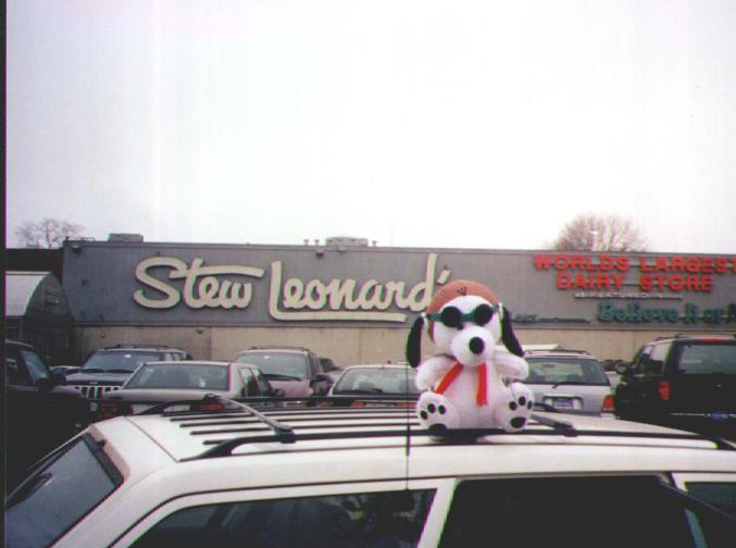 Snoopy goes to Stew Leonards