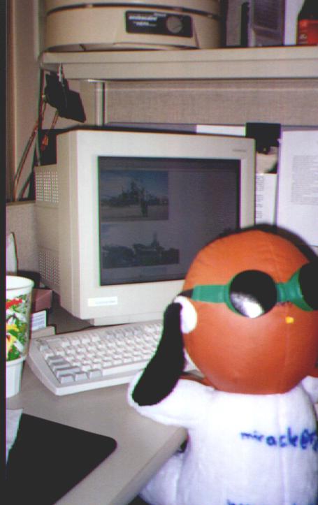 Snoopy surfs his website