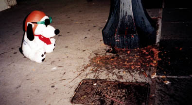 Snoopy examines the damage.